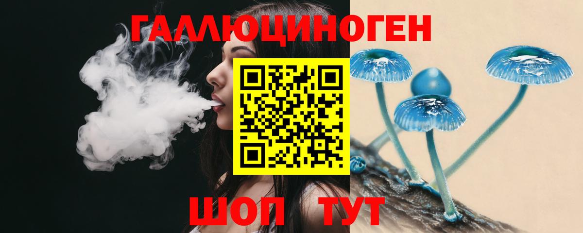 Псилоцибиновые грибы MAGIC MUSHROOMS  Вход с VPN  где можно купить   Жуковский  Галлюциногенные грибы Psilocybe 